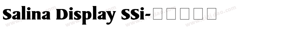 Salina Display SSi字体转换